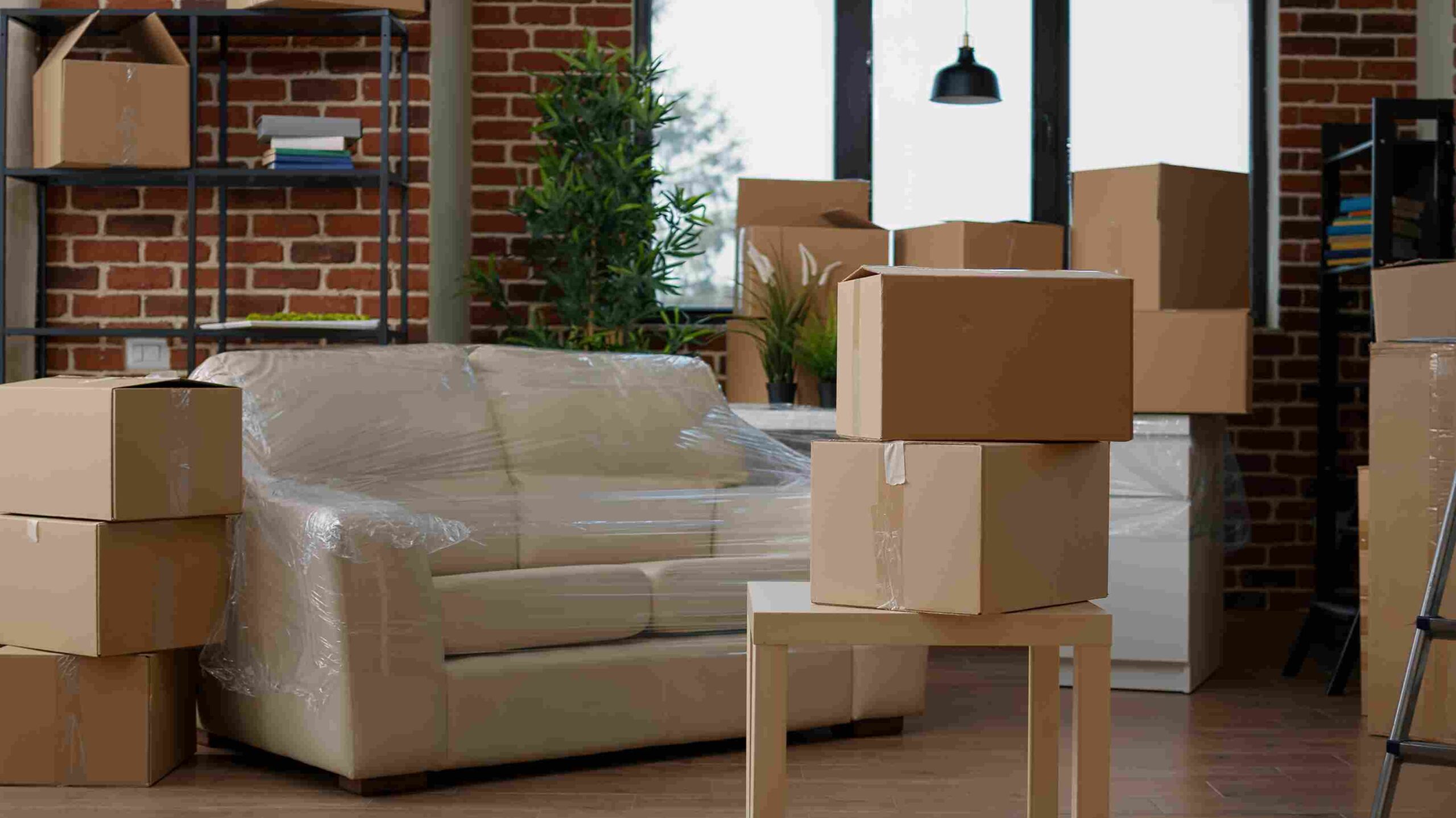 no-people-living-room-interior-move-with-carton-boxes-empty-real-estate-property-full-cardboard-packing-storage-cargo-nobody-apartment-relocation-moving-day_11zon
